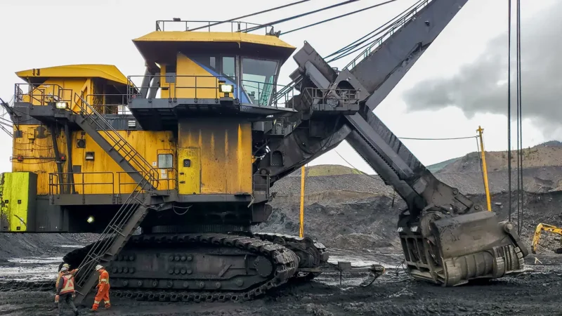 4100XPCXXL Crawler Shoes Case